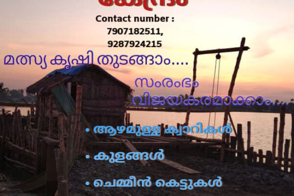 മത്സ്യ കൃഷി തുടങ്ങാം സംരംഭം വിജയകരമാക്കാം