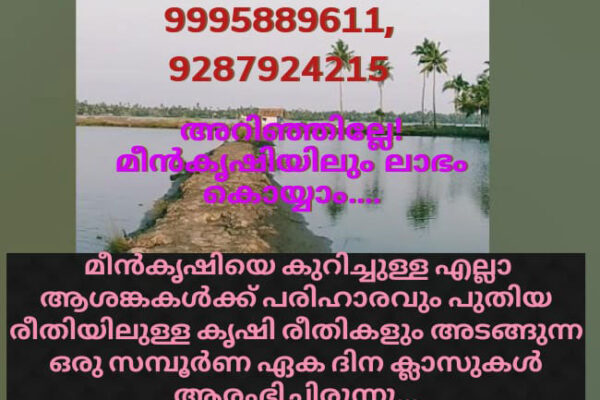 അറിഞ്ഞില്ലേ മീൻ കൃഷിയിലും ലാഭം കൊയ്യാം