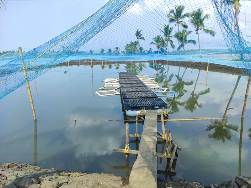 Navaratna Matsya Sevana Kendram Integrated Fish Farmin Fish Seed Rearing Unit