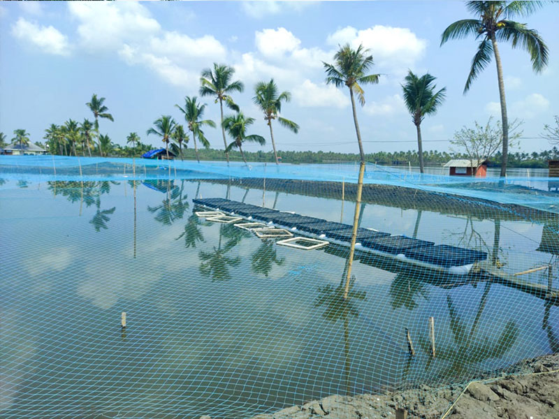 Navaratna Matsya Sevana Kendram Integrated Fish Farmin Fish Seed Rearing Unit