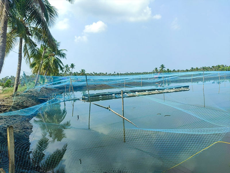 Navaratna Matsya Sevana Kendram Integrated Fish Farmin Fish Seed Rearing Unit