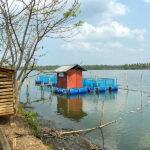 Navaratna Matsya Sevana Kendram Integrated Fish Farmin KG Fish Seed Rearing Unit