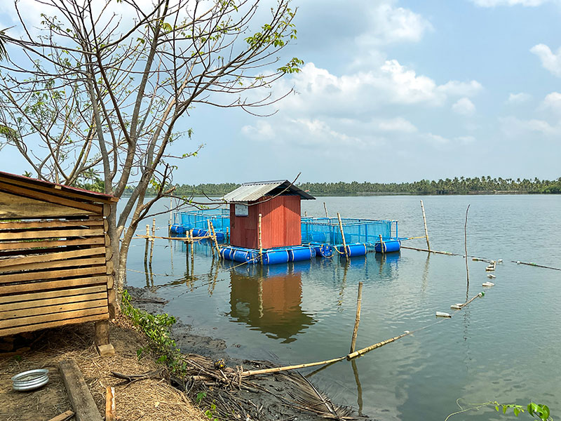 Navaratna Matsya Sevana Kendram Integrated Fish Farmin KG Fish Seed Rearing Unit