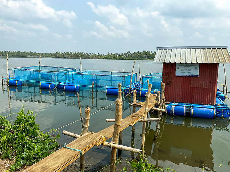 Navaratna Matsya Sevana Kendram Integrated Fish Farmin KG Fish Seed Rearing Unit