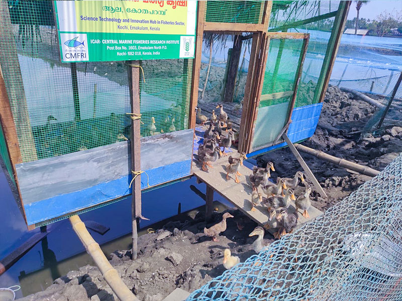 Navaratna Matsya Sevana Kendram Integrated Fish Farmin Fish Seed Rearing Unit