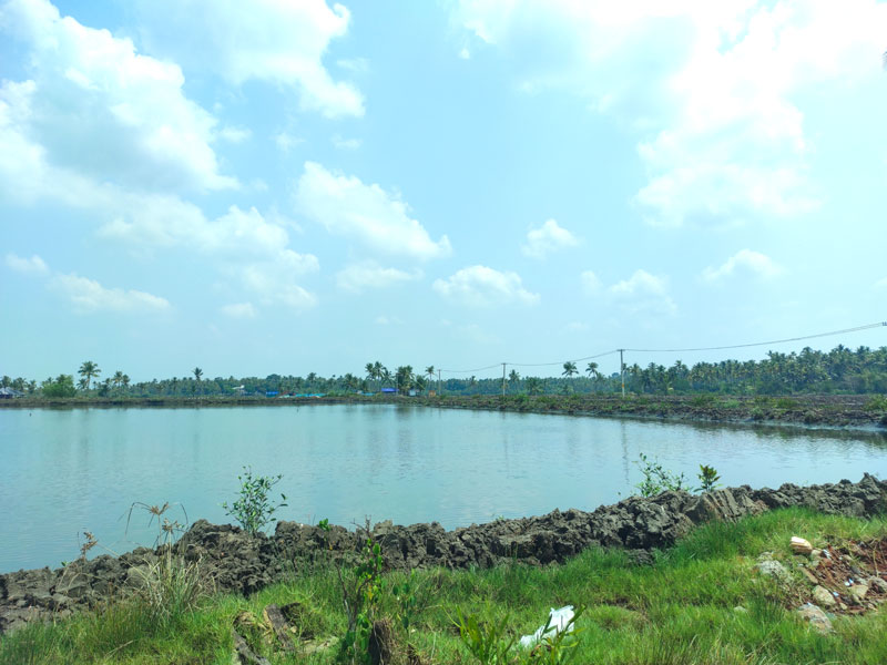 Navaratna Matsya Sevana Kendram Integrated Fish Farmin Fish Seed Rearing Unit